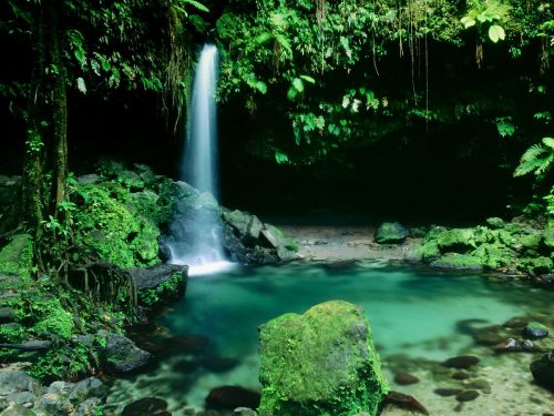emerald_pool_morne_trois_pitons_national_park_dominica